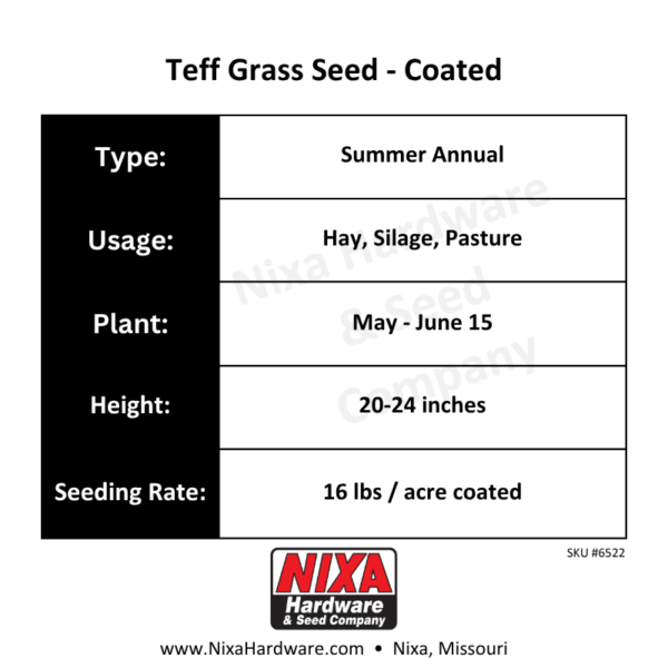 Teff Grass Seed Coated Planting Guide