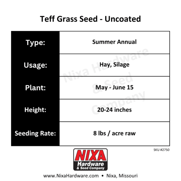 Teff Grass Seed Uncoated Planting Guide