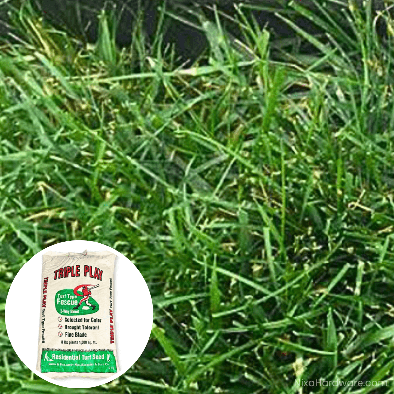 Triple Play Turf Type Fescue Seed