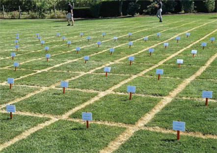 Nixa Hardware Seed Research Plots