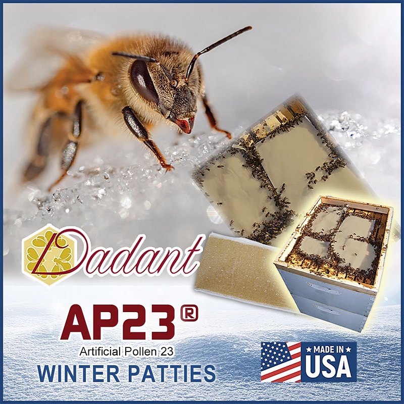 AP23 Winter Patties 2pk