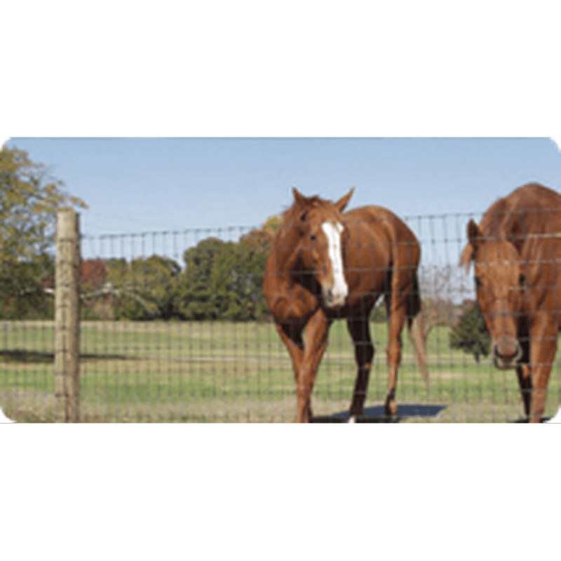 Bekaert Non-Climb Horse Fencing 60″x100’