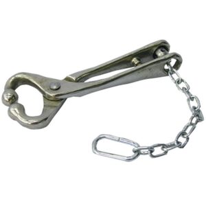Bull Lead with Chain