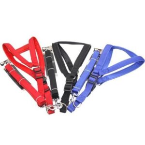 Dog Harness with Leash 4’