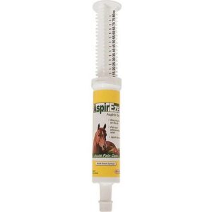 Durvet AspirEze Aspirin Gel 80cc