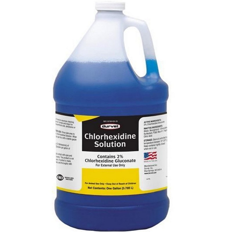 Durvet Chlorhexidine Disinfectant 1 gal