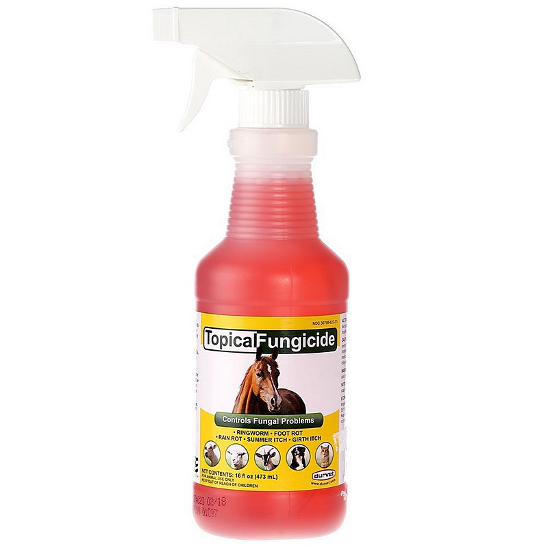 Durvet Topical Fungicide with Sprayer 16 oz