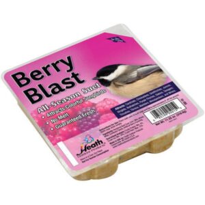 Heath Berry Blast Suet Cake 11 oz
