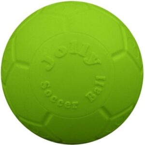 Jolly Pets Large Green Apple Soccer Ball Dog Toy 8”