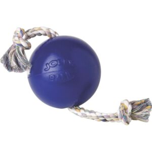 Jolly Pets Romp-N-Roll Blue Dog Toy 4-1-2”