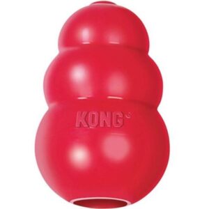 KONG Refillable Classic Red Large Chew Tog Toy