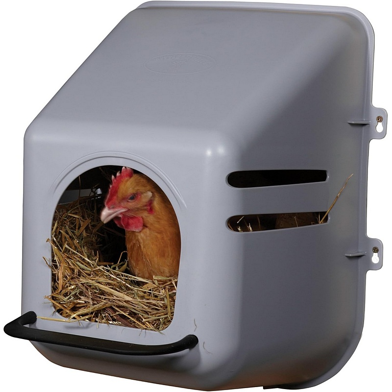 Little Giant Single Hen Nesting Box