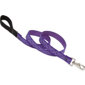 Lupine 1″ Jelly Roll Dog Leash 6’