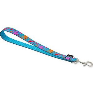 Lupine 3/4″ Wet Paint Dog Training Tab 11”
