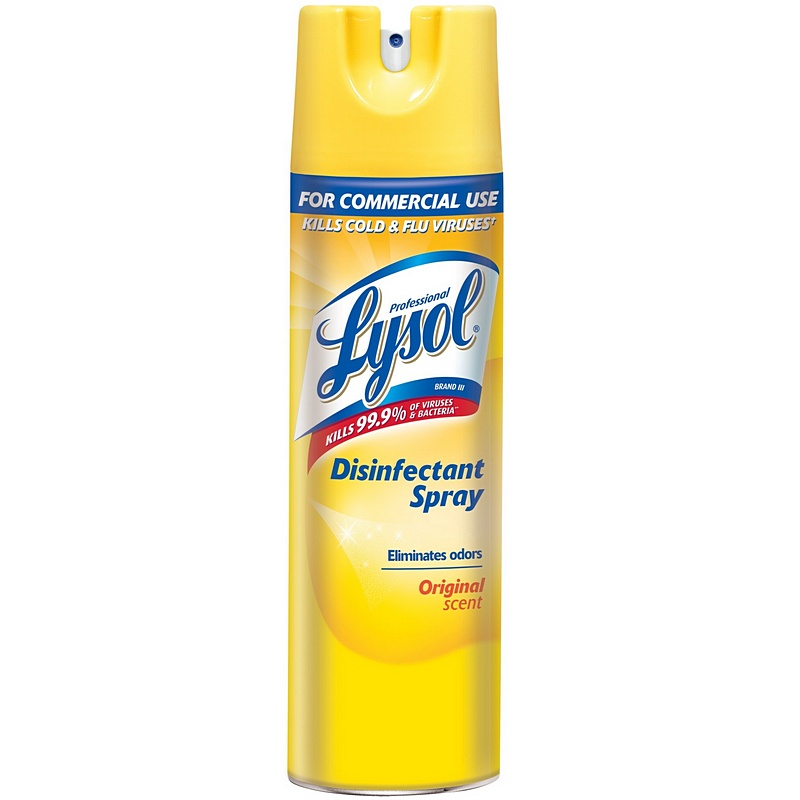 Lysol Professional Original Scent Disinfectant Spray 19 oz