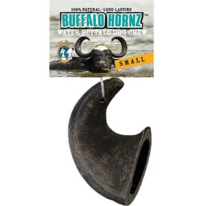 QT Water Buffalo Horn Small Dog Chew
