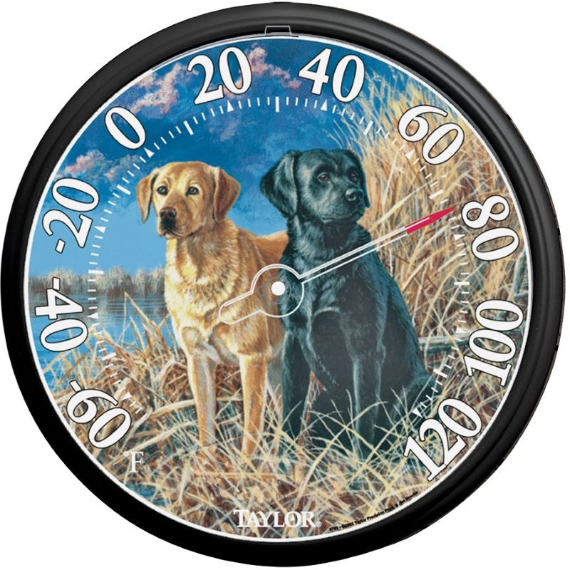 Taylor Weather Resistant Lab Design Dial Thermometer 13.5”