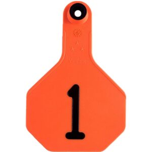 Y Tex 3 Star Orange Tags 1-25