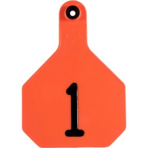 Y Tex 4 Star Orange Tags 1-25