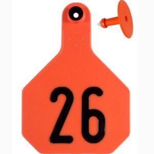 Y Tex 4 Star Orange Tags 26-50
