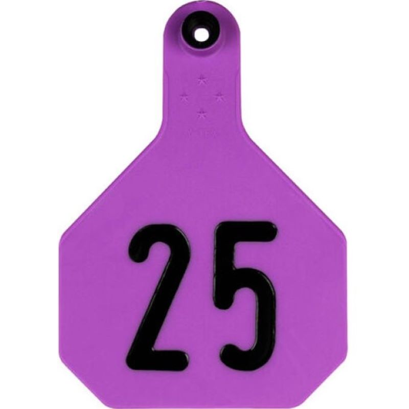 Y Tex Three Star Purple Tags 1-25