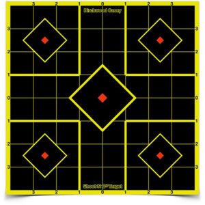 Birchwood Casey Shoot-N-C Sight-In Targets 8” 6pk