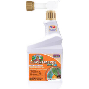 Bonide Captain Jack’s Copper Fungicide Hose End Spray 16 oz