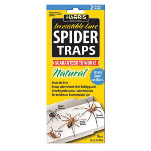 Harris Large Spider Glue Traps 2 pk