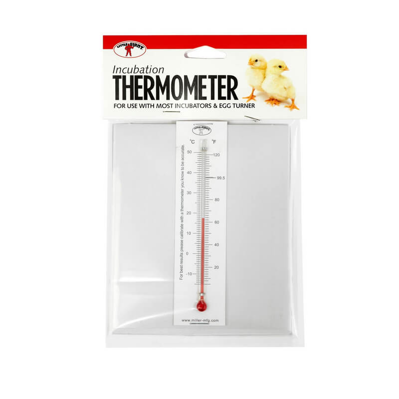 Little Giant Incubator Thermometer Kit