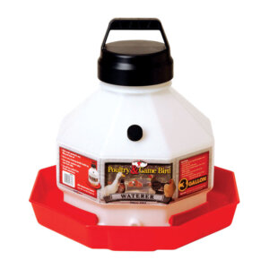 Little Giant Plastic Poultry Waterer 3 gal