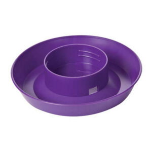 Little Giant Purple Plastic Screw-On Feeder Base 1 qt