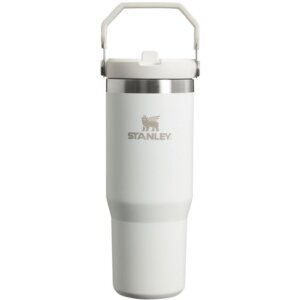 Stanley IceFlow Stainless Steel Flip Straw Frost Tumbler 30 oz