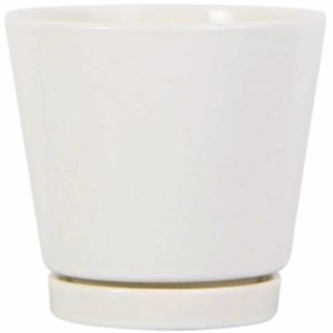 Trendspot White Ceramic Knack Planter 4”x4”x4”
