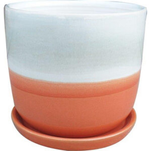 Zona Ceramic Planter 5