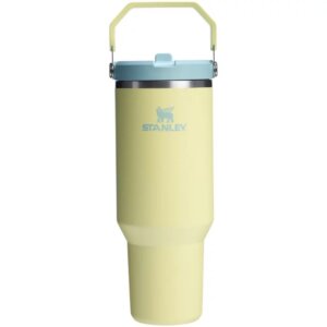 Stanley IceFlow Pomelo Insulated Straw Tumbler 40 oz