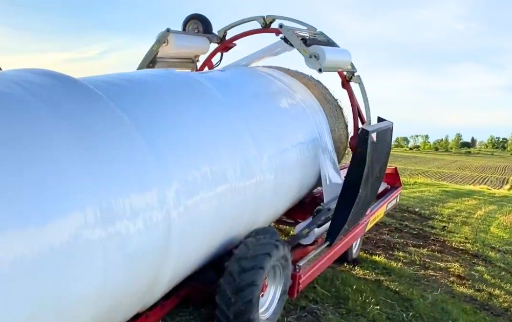 Cold Grazer Rye Silage Baling