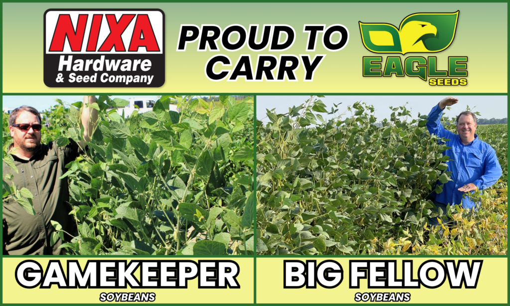 Eagle Seeds Dealer Showing Soybean Height Eagle Seeds Dealer Showing Soybean Height