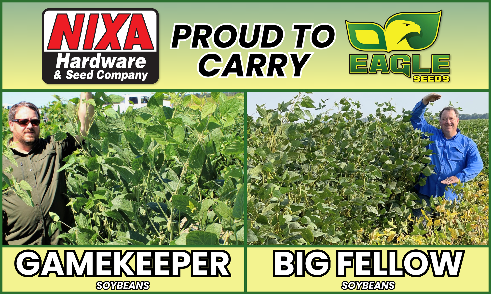 Eagle Seeds Dealer Showing Soybean Height